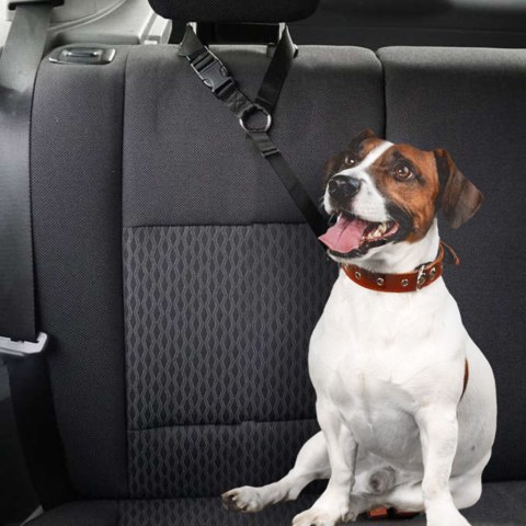 Smycz dla psa kota pas bezpieczeństwa do auta samochodu na zagłówek bezpieczny mocny Kik Sp. z o. o. Sp. k.