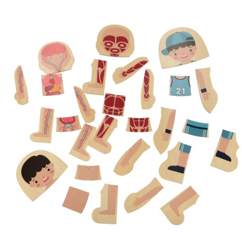 Puzzle drewniane warstwowe budowa ciała montessori chłopiec Kik Sp. z o. o. Sp. k.
