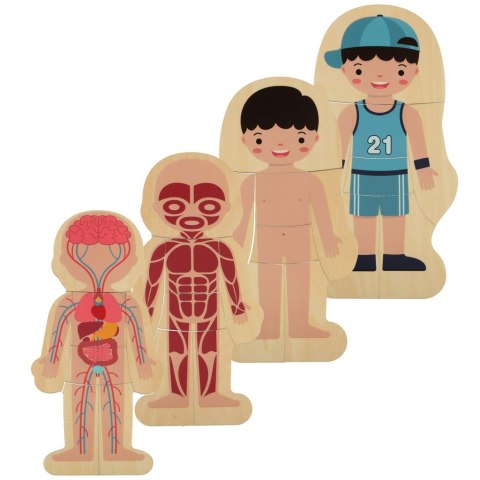 Puzzle drewniane warstwowe budowa ciała montessori chłopiec Kik Sp. z o. o. Sp. k.