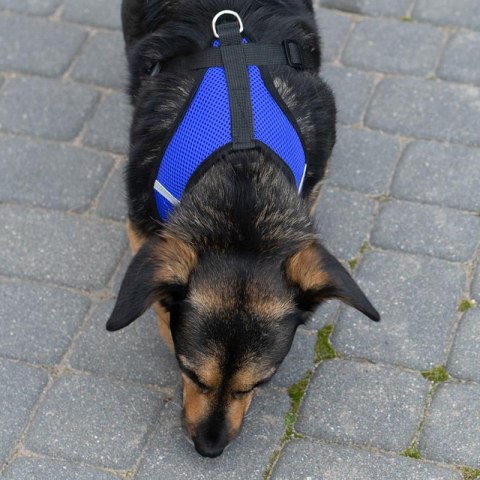 Szelki bezuciskowe spacerowe regulowane odblask dla psa kota + smycz rozmiar XL Kik Sp. z o. o. Sp. k.