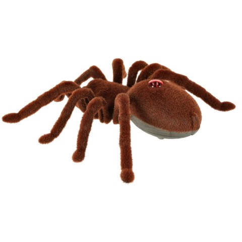 Pająk TARANTULA Zdalnie Sterowany robot + PILOT Kik Sp. z o. o. Sp. k.