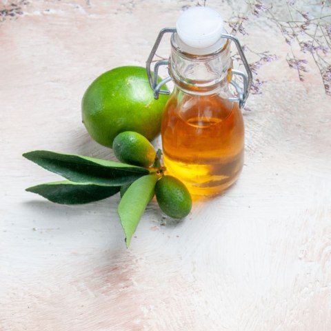 Butelka Szklana EXCELLENT HOUSEWARE 75 ml z Klipsem na Oliwę i Syropy