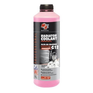 PŁYN DO CHŁODNIC SAMOCHODOWYCH KONCENTRAT CZ MA PROFESSIONAL