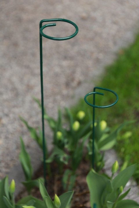 PODPORA DO ROŚLIN OCZKO 110CM BIG