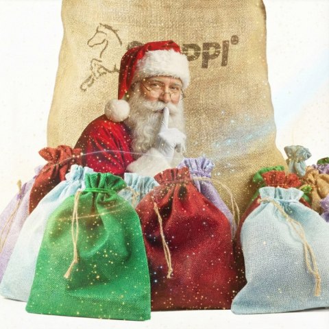 Zestaw Świąteczny Hobby Horse - The Best of Skippi - gniado-srokaty