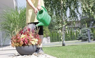 KONEWKA PLASTIKOWA 3L SPRING - ZIELONY PROSPERPLAST