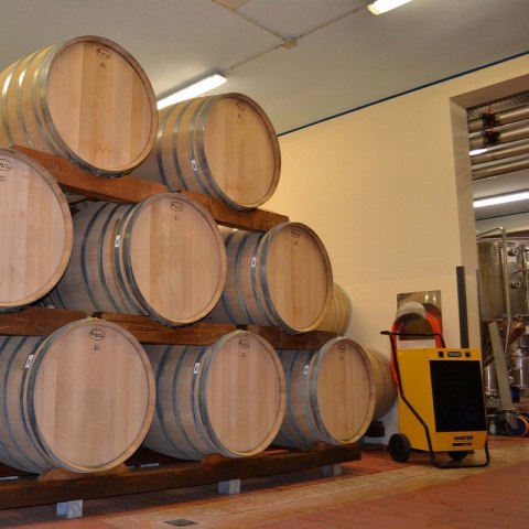 OSUSZACZ POWIETRZA MASTER DH 62 MASTER