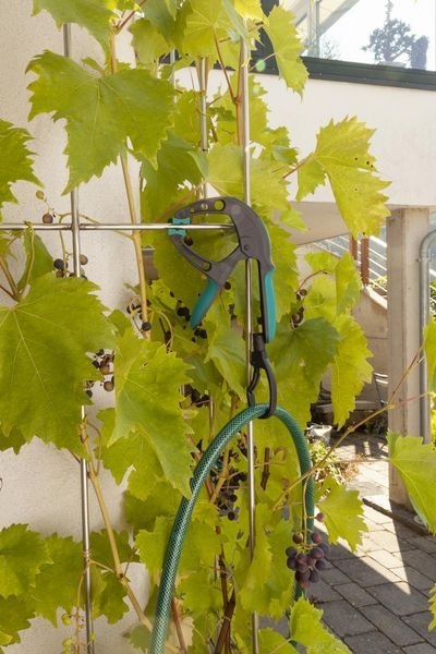 ŚCISK SPRĘŻYNOWY FZH 50 WOLFCRAFT