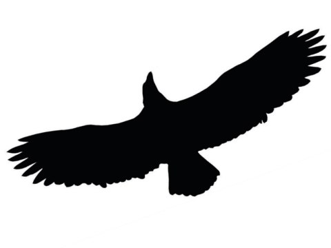 ODSTRASZACZ PTAKÓW - NAKLEJKA L40 UN