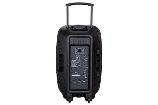 PROFESJONALNY SYSTEM AUDIO PA15 BLAUPUNKT