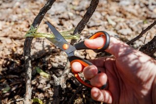 NOŻYCZKI 215MM, NEO