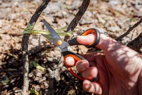 NOŻYCZKI 215MM, NEO