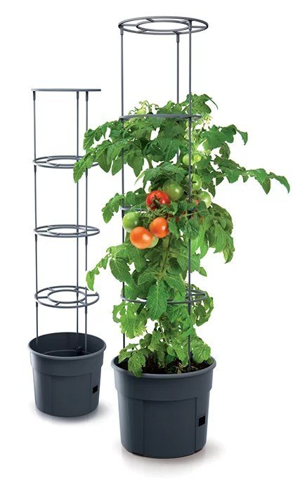 DONICZKA TOMATO GROWER - ANTRACYTOWY 12L PROSPERPLAST
