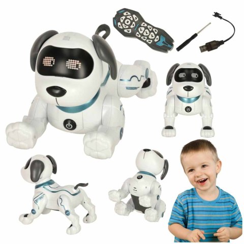 Pies piesek interaktywny zdalnie sterowany na pilota RC robot skacze śpiewa Kik Sp. z o. o. Sp. k.