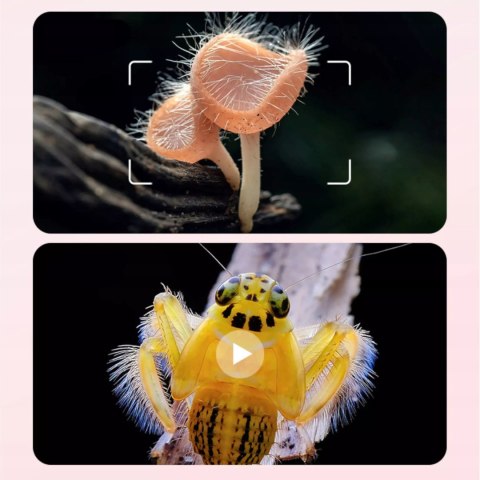 Przenośny ręczny mikroskop elektroniczny dla dzieci 500x 2'' aparat 355R Luxma