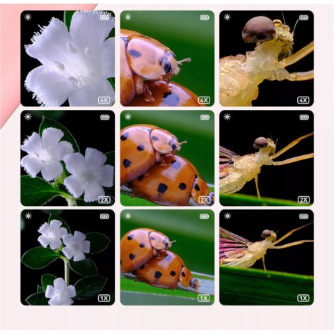 Przenośny ręczny mikroskop elektroniczny dla dzieci 500x 2'' aparat 355R Luxma