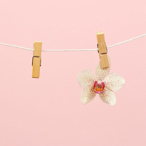 Klamerki na Pranie VILDE Drewniane 60 szt. 7 cm Klasyczny Wzór