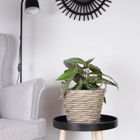 Osłonka do Roślin na Doniczkę Wiklinowa VILDE 22x22 cm