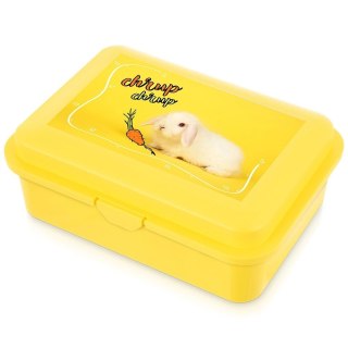 Pojemnik Lunchbox Śniadaniowy 750 ml ORION Zmywarka Mikrofala 18 x 13 cm