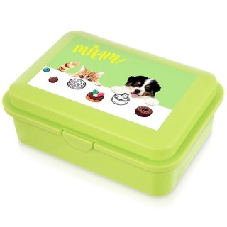 Pojemnik Lunchbox Śniadaniowy 750 ml ORION Zmywarka Mikrofala 18 x 13 cm
