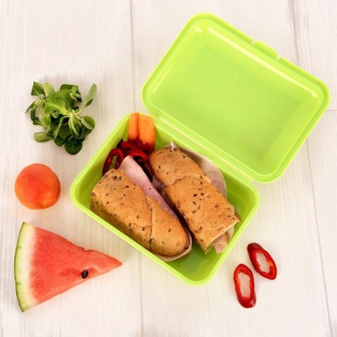 Pojemnik Lunchbox Śniadaniowy 750 ml ORION Zmywarka Mikrofala 18 x 13 cm