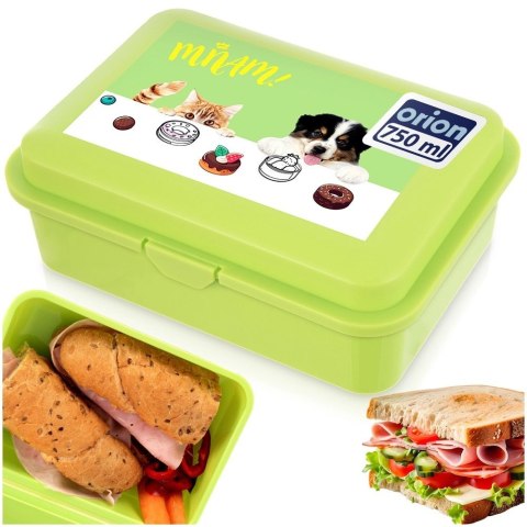 Pojemnik Lunchbox Śniadaniowy 750 ml ORION Zmywarka Mikrofala 18 x 13 cm