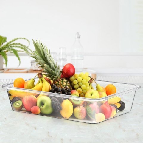 Pojemnik Organizer do Lodówki Duży 10 L 46 x 33 x 9,5 cm HL Przezroczysty