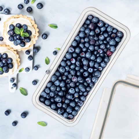 Pojemnik na Wędliny Sery 400 ml ORION Szczelny Mrożenie 21,5 x 10,5 cm