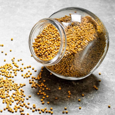 Pojemnik Słój na Żywność Makaron Przyprawy Ciastka Szklany Solidny ORION 3L