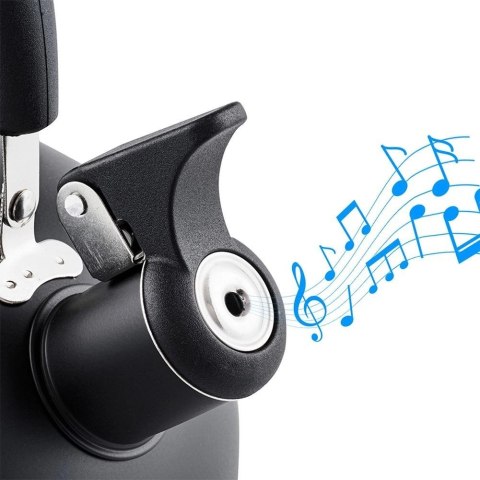 Czajnik z Gwizdkiem Stalowy Czarny Indukcja Gaz Tradycyjny VILE 3 L