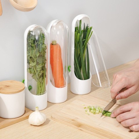 Pojemnik do przechowywania świeżych ziół, na miętę, warzywa do lodówki 25x6,5cm POJ08