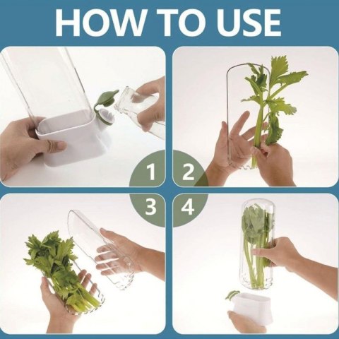 Pojemnik do przechowywania świeżych ziół, na miętę, warzywa do lodówki POJ09