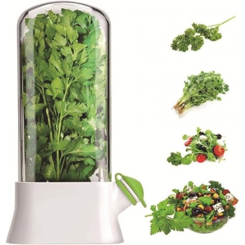 Pojemnik do przechowywania świeżych ziół, na miętę, warzywa do lodówki POJ09