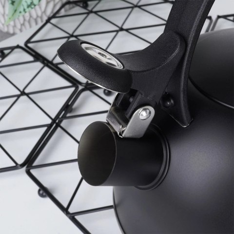 Czajnik na Gaz Indukcja z Gwizdkiem Stalowy Czarny Solidny Trwały VILDE 2 l