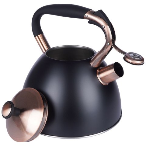 Czajnik na Gaz Indukcja z Gwizdkiem Stalowy Czarny Solidny Trwały VILDE 3 l