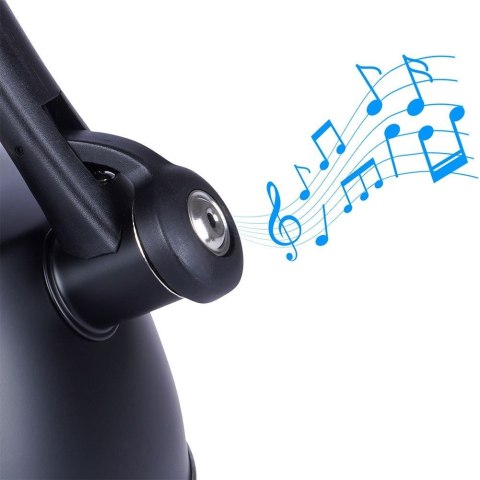 Czajnik na Gaz Indukcja z Gwizdkiem Termometrem Stalowy Czarny VILDE 3 l