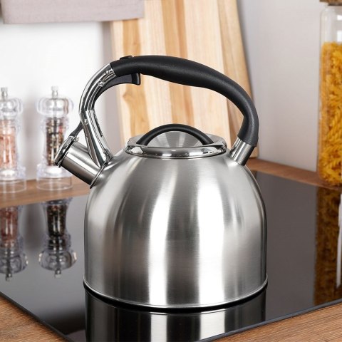 Czajnik z Gwizdkiem Stalowy Nierdzewny Srebrny Ozdobny ORION 2 L