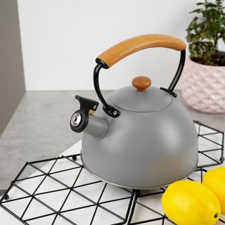 Czajnik z Gwizdkiem Stalowy Nierdzewny Szary Dekoracyjny ORION 2,9 L