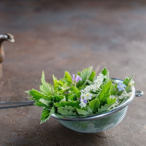 Sitko Kuchenne Stalowe Gęsta Siateczka do Mąki Kawy Bulionu 10 cm ORION