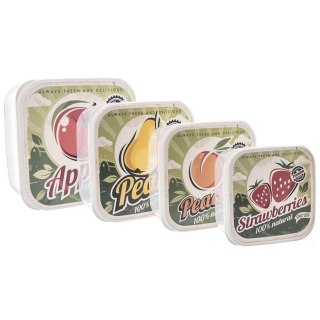 Zestaw 4 Pojemników Lunchbox Szczelny 900 ml ORION Retro na Żywność