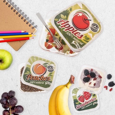Zestaw 4 Pojemników Lunchbox Szczelny 900 ml ORION Retro na Żywność