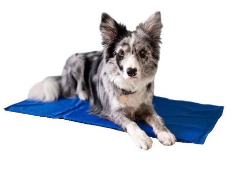 Żelowa mata chłodząca dla psa kota 40x50 AIO FACTORY SP. Z O.O.