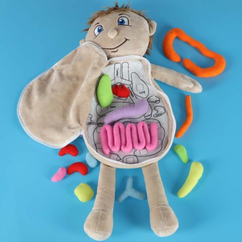 Lalka maskotka nauka anatomii chłopiec Kik Sp. z o. o. Sp. k.