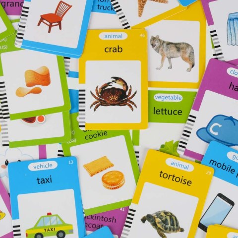 Nauka języka angielskiego czytnik kart do nauki słówek fiszki znikopis niebieski Kik Sp. z o. o. Sp. k.